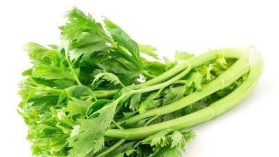 磷酸二氫鉀，能和殺菌劑混用嗎?別再犯錯(cuò)啦!