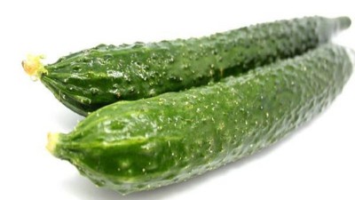 防治真有那么難?黃瓜龍頭“黃、爛”表現(xiàn)異常區(qū)別對待!
