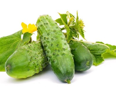 面對(duì)黃瓜莖稈開(kāi)裂的情況該如何應(yīng)對(duì)？