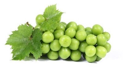 葡萄冬天怎么防凍，葡萄防凍時(shí)間及防凍措施