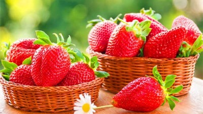夏季草莓應(yīng)該如何澆水？