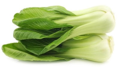 蔬菜換茬季，時(shí)間短、溫度低成為冬季換茬面臨的首要問題