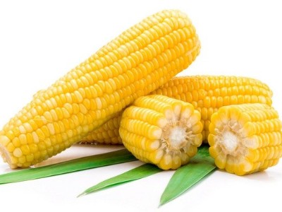 玉米追肥的最佳時(shí)間是什么時(shí)候？