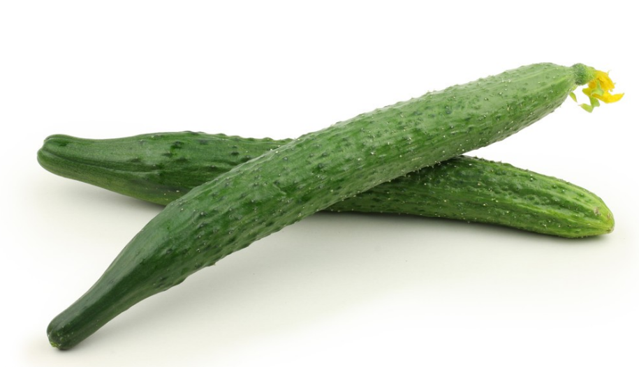 地里種植的黃瓜出現(xiàn)了很多大頭瓜，什么原因造成的?