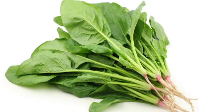 掌握4步，輕松學(xué)會(huì)種菠菜，產(chǎn)量高，農(nóng)戶都能種好