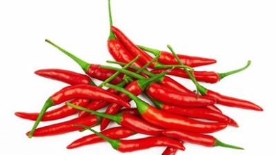 番茄、黃瓜、辣椒等蔬菜病毒病，抓住技巧，防治不難