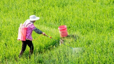 讓你二次稀釋你嫌棄費(fèi)事，你知道二次稀釋多重要嗎?