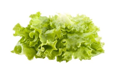 生菜的施肥時(shí)間及方法