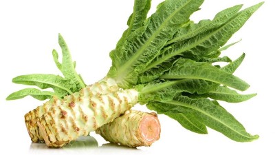 根結(jié)線蟲(chóng)的為害癥狀和防治措施