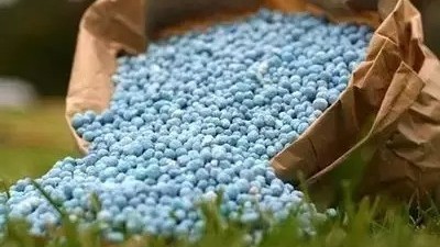 水溶肥和復(fù)合肥哪一個(gè)效果更好，有什么區(qū)別?