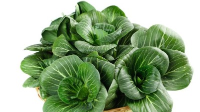 蔬菜養(yǎng)根，土壤環(huán)境很重要
