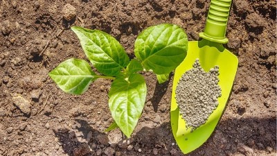 化肥、有機(jī)肥和生物菌肥各自有哪些不同？?jī)?yōu)缺點(diǎn)是什么呢？