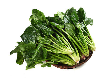 早春蔬菜定植如何才能提高成活率，避免出現(xiàn)死棵？