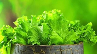 請注意!這4點沒做好，蔬菜或?qū)?yán)重減產(chǎn)